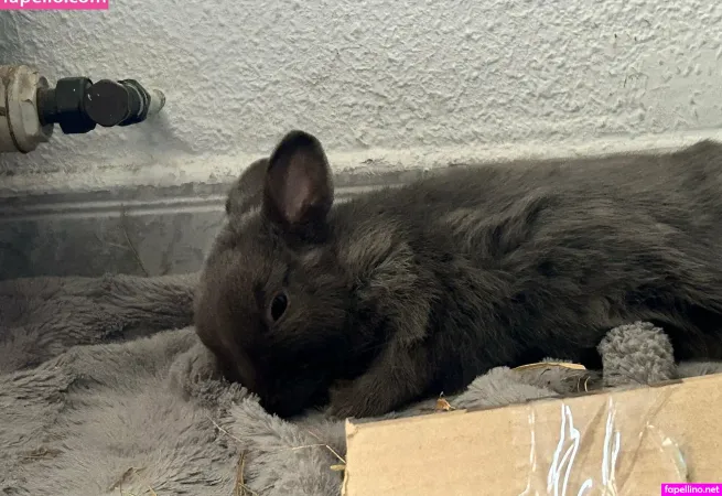 Eiffee OnlyFans Thumbnail #gVI59VCpyn