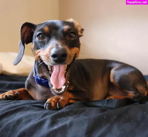 Eileenexy OnlyFans Thumbnail #kfskXvqZDu