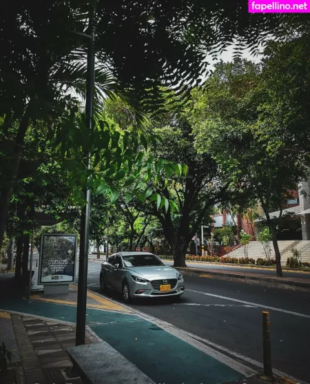 Eldiariodeunafotografa OnlyFans Thumbnail #E7C1f2rXES