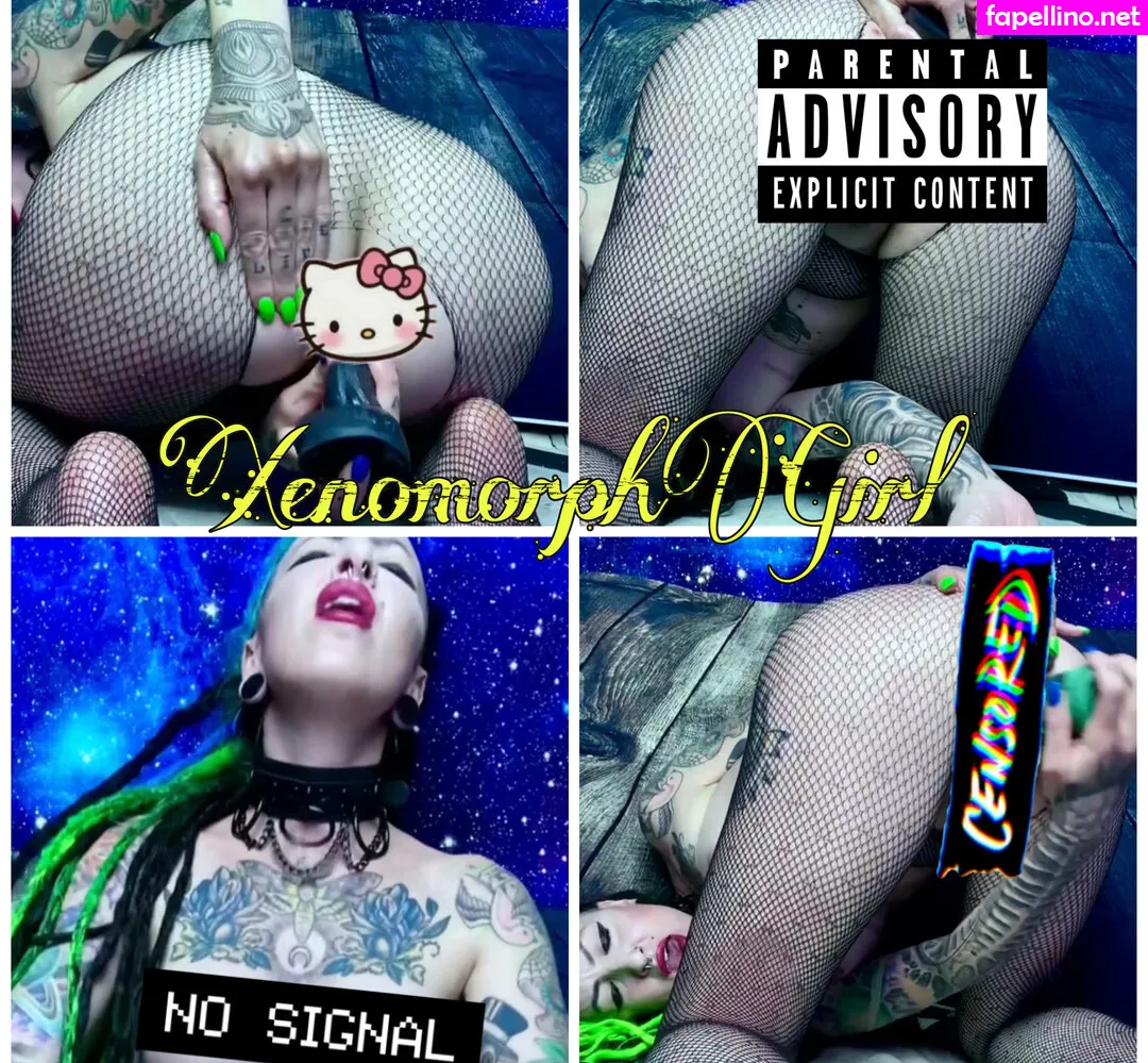 elfspitfree, thefreespiritgypsy Nude Leaked OnlyFans Photo #Jv9VDsvgVC