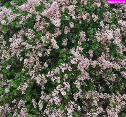 Elizabeth M OnlyFans Thumbnail #daUcDbhWZr