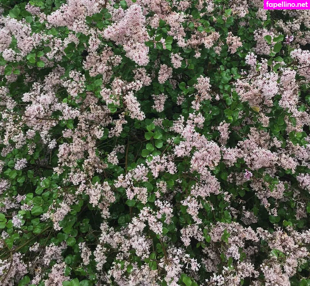 elizabethkm, elizabethnyk Nude Leaked OnlyFans Photo #daUcDbhWZr