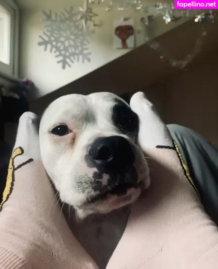 Elizabethreed OnlyFans Thumbnail #ioB0q61kq2