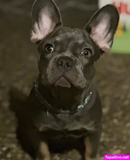 Elizybit OnlyFans Thumbnail #w0xxqRqro7