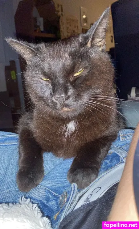 Ellaella594 Main Profile Photo