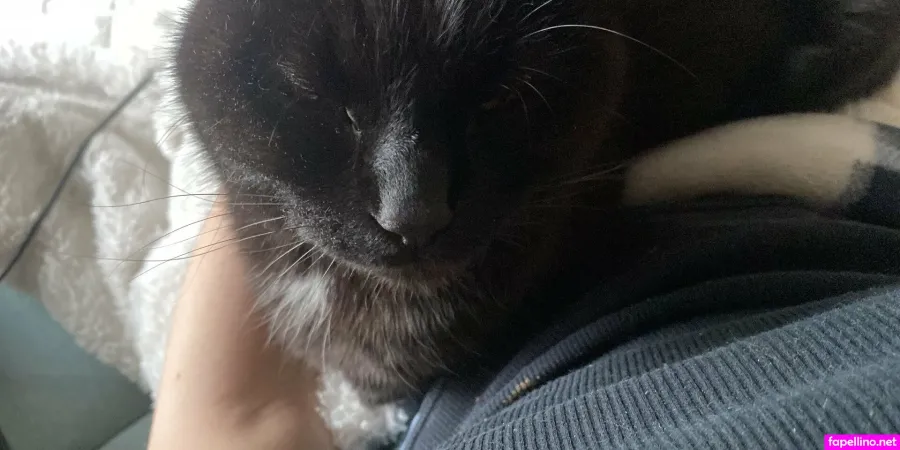 Ellaella594 OnlyFans Thumbnail #ozaCWXpSUo