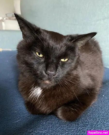 Ellaella594 OnlyFans Thumbnail #uqrY0LDFGN