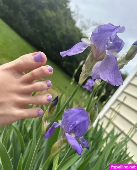 Elliesolegoddess OnlyFans Thumbnail #M94OrKZE9S