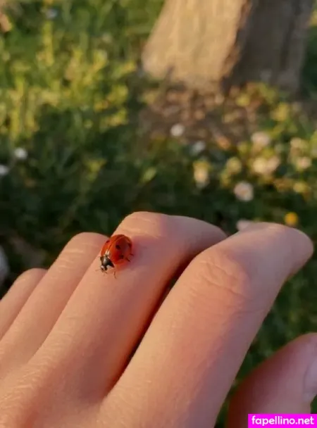 Eloyia OnlyFans Thumbnail #yYYxvSCKtB