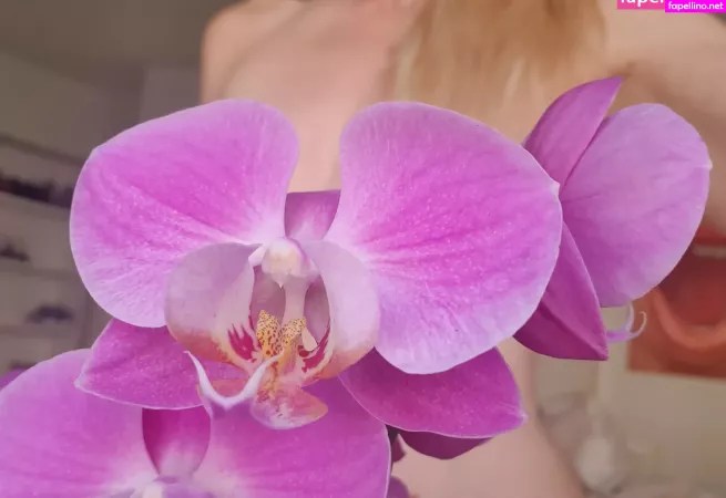 Elvirafriis OnlyFans Thumbnail #HW1IBSI1d8