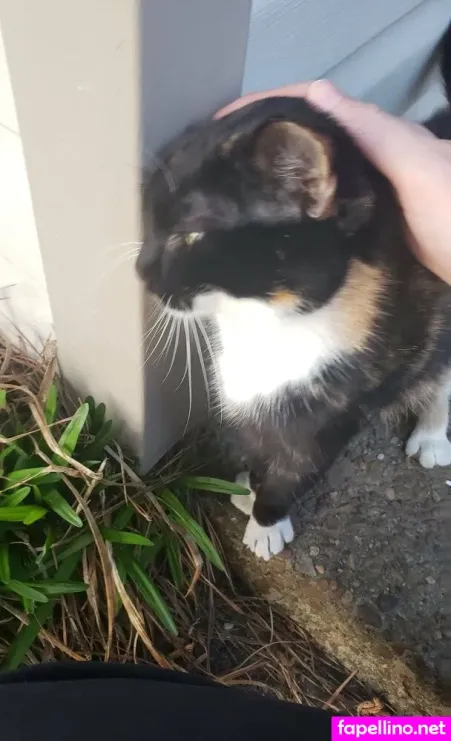 Emberseffyfree OnlyFans Thumbnail #7yb1jrzeNr