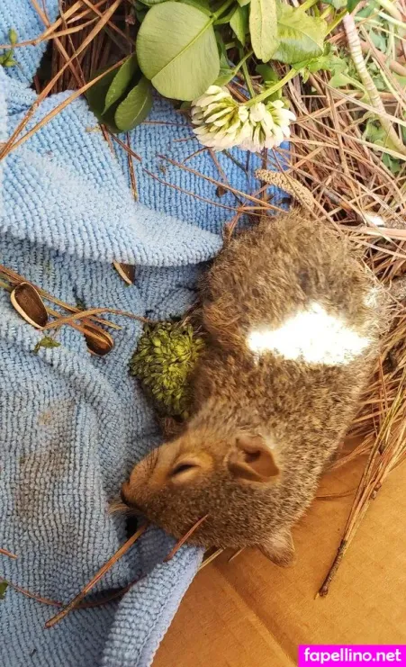 Emberseffyfree OnlyFans Thumbnail #NsLUljizU0