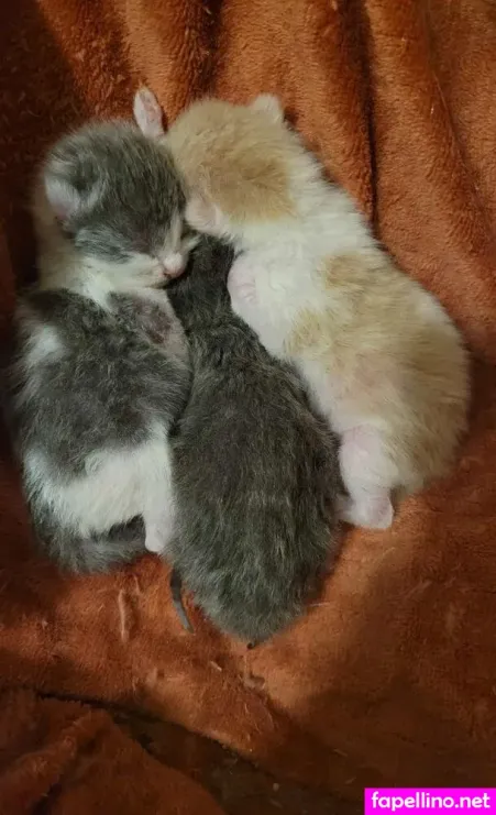 Emjay Lynn OnlyFans Thumbnail #SmhsC3pKCG