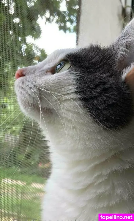 Emma Emmyy OnlyFans Thumbnail #fOpTAFXpxn