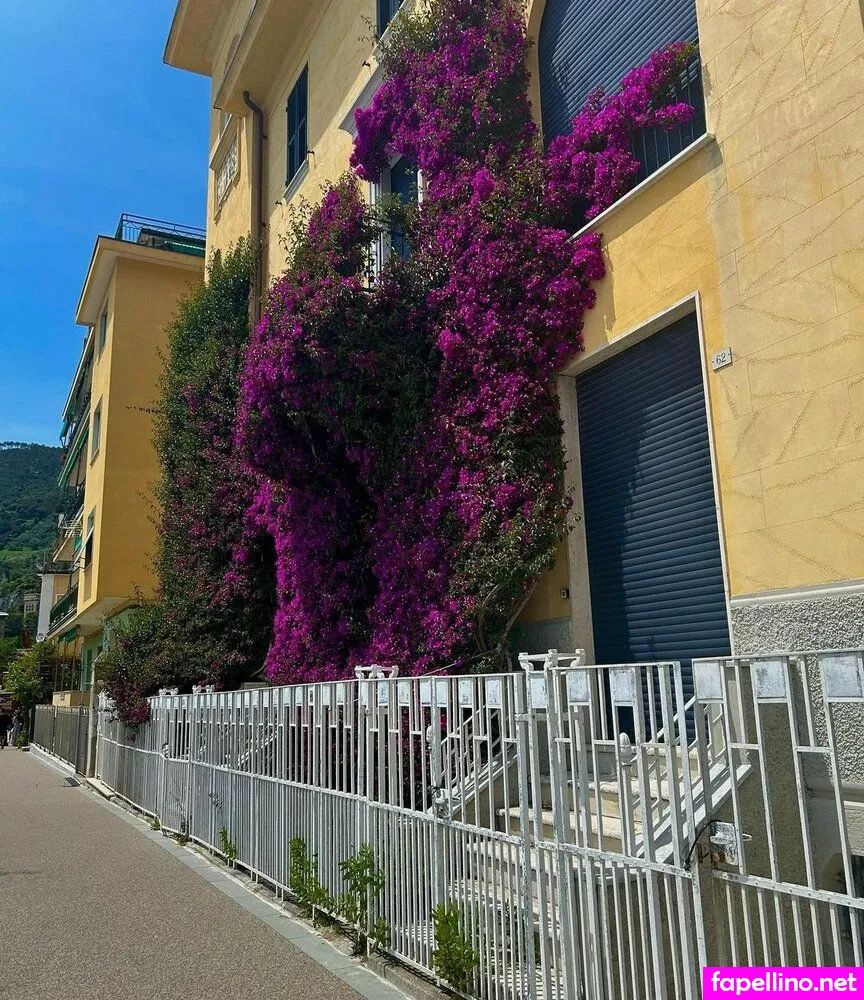 emma.035, emmaokeefe.33 Nude Leaked OnlyFans Photo #jyShjQhIOA