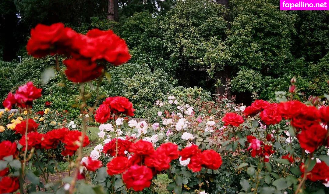 vauxdevil Nude Leaked OnlyFans Photo #SGOK3ZPolX