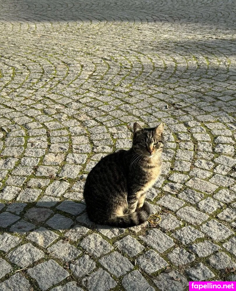 emmadcomedy Nude Leaked OnlyFans Photo #Vlb20GYFGq