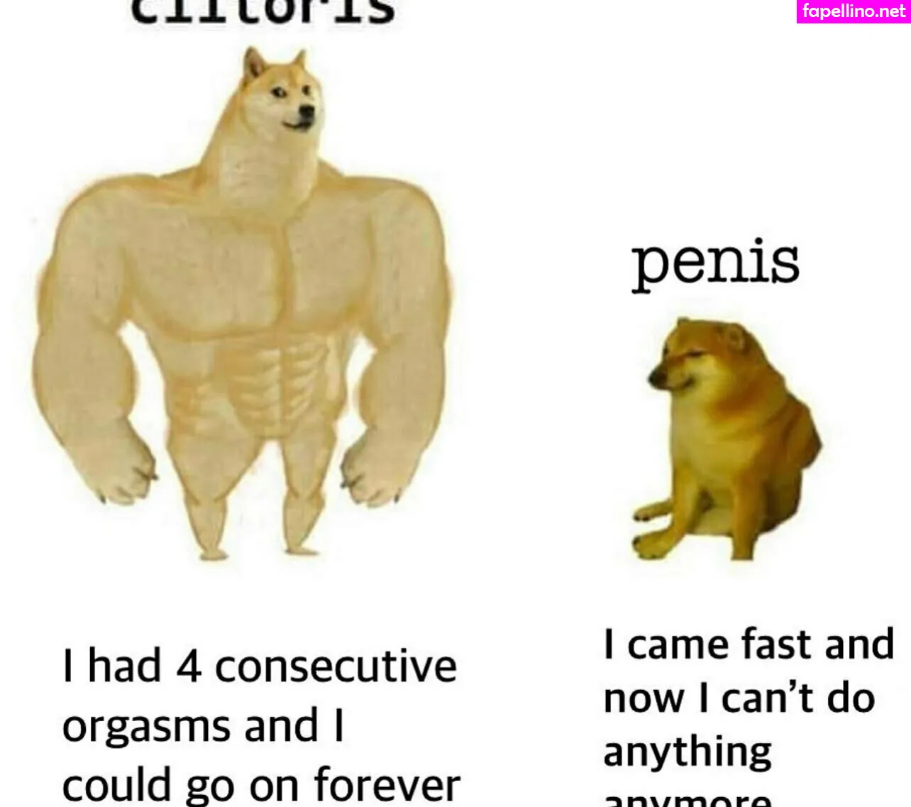 enchantress_xo, enchantressselenafree Nude Leaked OnlyFans Photo #CpDeESMeKB