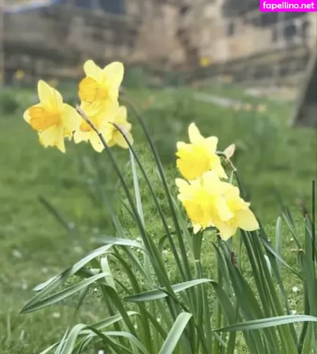 Englishrosie21 OnlyFans Thumbnail #YDBDC1Apqo