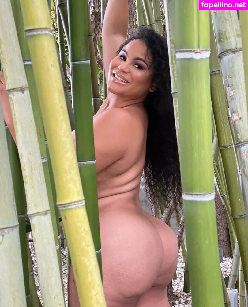 envyerica, envyericaxxx Nude Leaked OnlyFans Photo #OwZb3cc35f