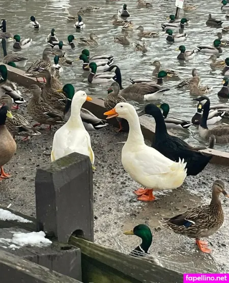 Erikathesecond OnlyFans Thumbnail #LjI8sBUlrG