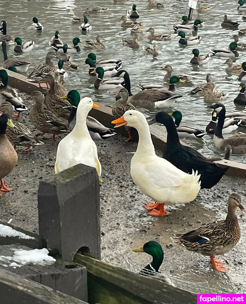 erikathesecond Nude Leaked OnlyFans Photo #LjI8sBUlrG