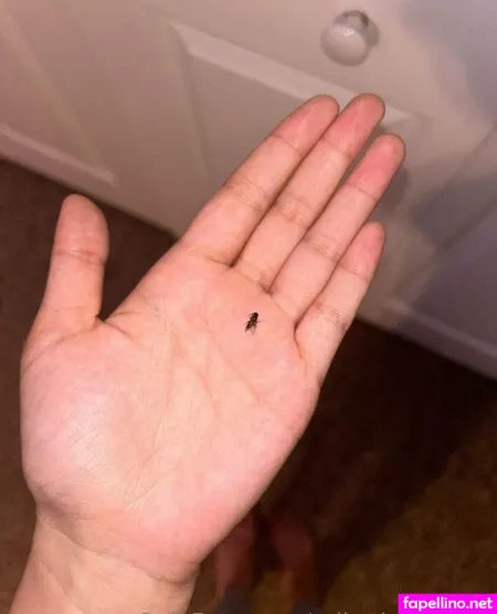 Erikathesecond OnlyFans Thumbnail #U3CCZPv2Vv