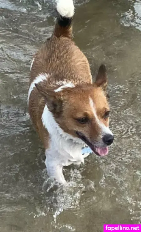 Erin 18 OnlyFans Thumbnail #ZIjZ3dEU45