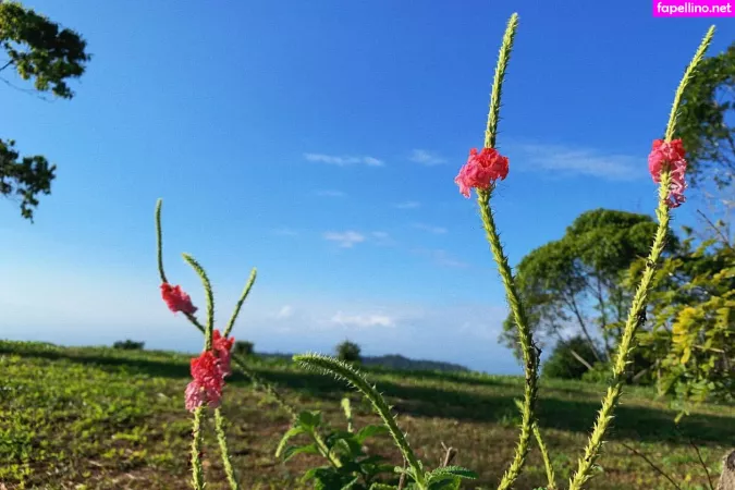 Erin Ashford 1 OnlyFans Thumbnail #KFjbOLHGg0