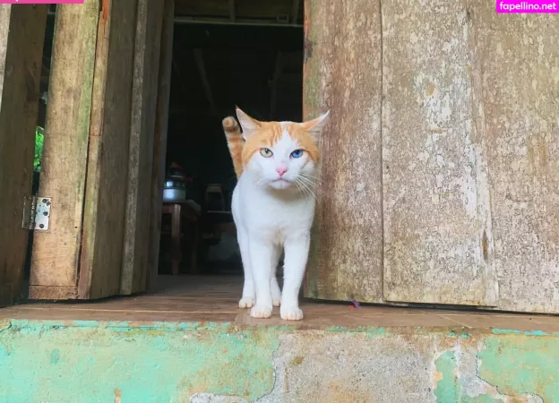 Erin Ashford 1 OnlyFans Thumbnail #X83DhOAL9b