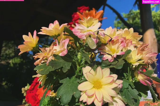 Erin Ashford 1 OnlyFans Thumbnail #Zup1IDzv5x