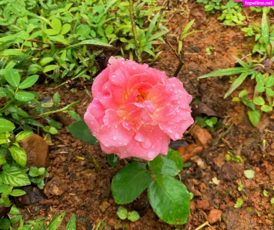 Erin Ashford 1 OnlyFans Thumbnail #k0765SaSXb