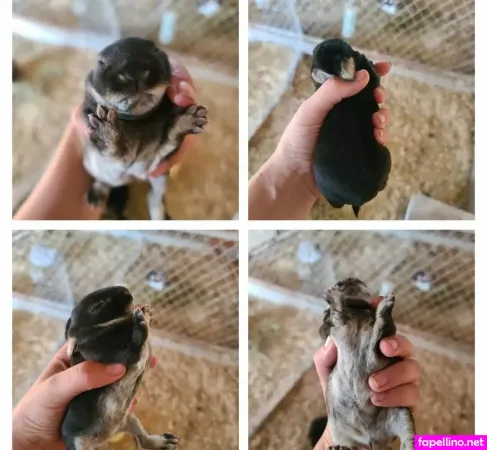 Erin Moor OnlyFans Thumbnail #NaSSlMEtiS