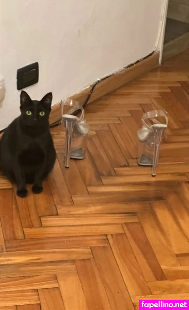 eroticgoddess69, exoticgoddess._ Nude Leaked OnlyFans Photo #DmZaWFSPTb