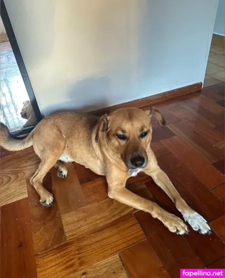 Eroticgoddess69 OnlyFans Thumbnail #uTH3BpkJ1V