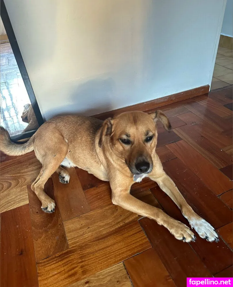 eroticgoddess69, exoticgoddess._ Nude Leaked OnlyFans Photo #uTH3BpkJ1V