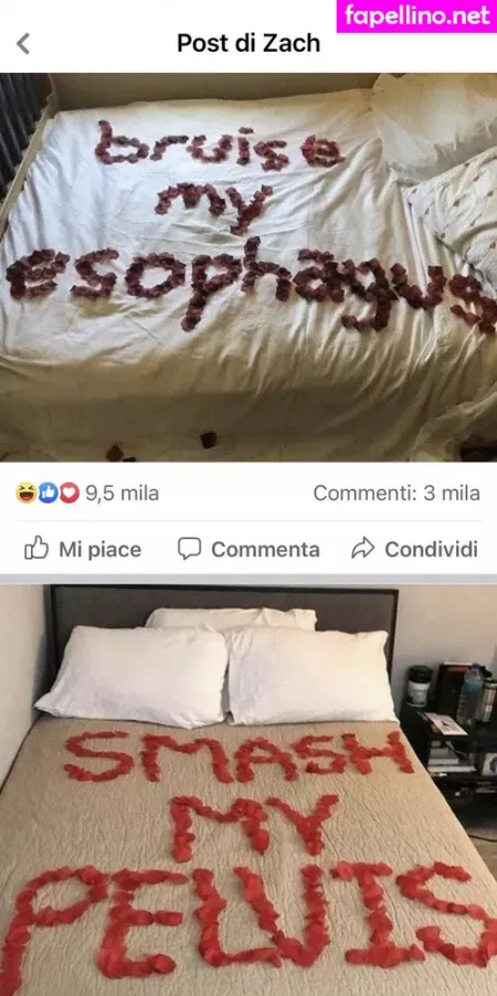 Erszebetbathory666vip OnlyFans Thumbnail #yUVGfp0cMv