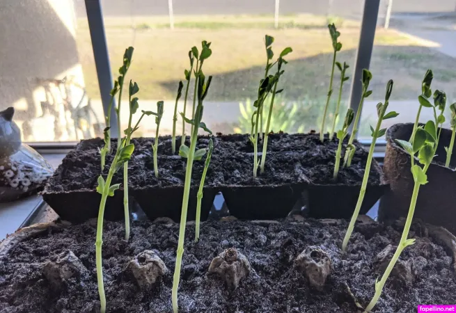 Esora Luvey Free OnlyFans Thumbnail #1OQd6vItdh