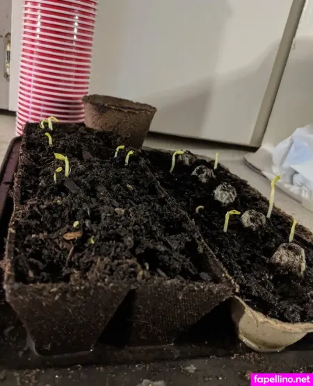 Esora Luvey Free OnlyFans Thumbnail #A5BTLx7c0f