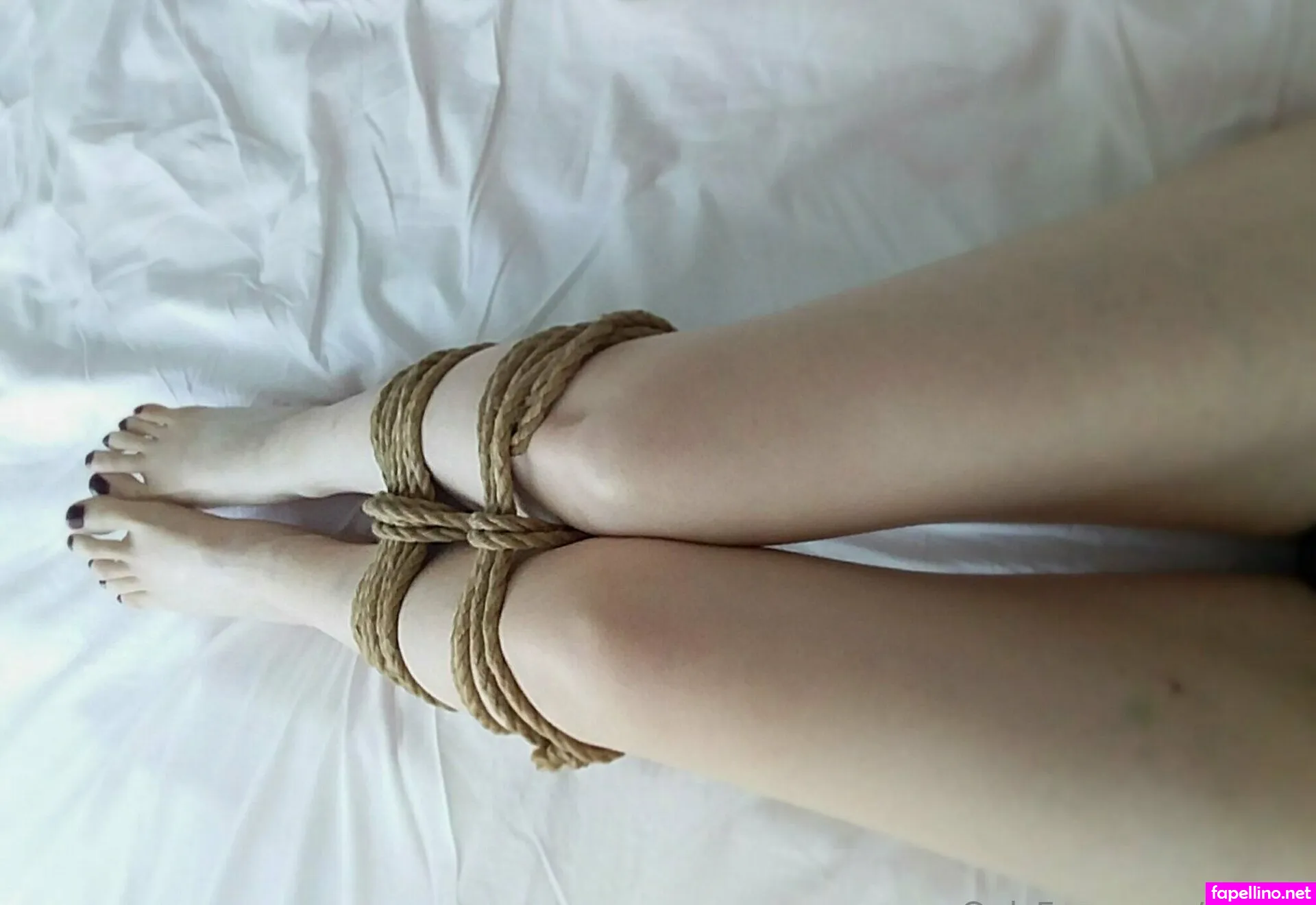 essential.shibaris, shibari.study Nude Leaked OnlyFans Photo #bq8xp6eeSO