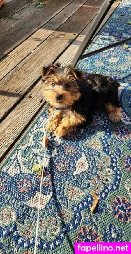 Eva M Sinclair OnlyFans Thumbnail #Jd6dTvL1aJ