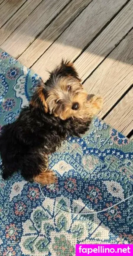 Eva M Sinclair OnlyFans Thumbnail #WdYhF3Mj81