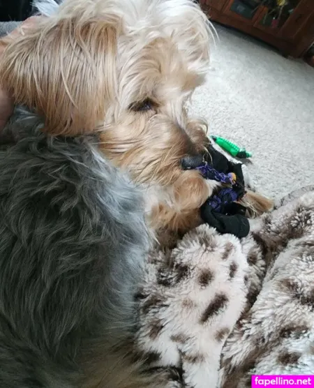 Evamarie Sinclair OnlyFans Thumbnail #ApYEn6eZTz