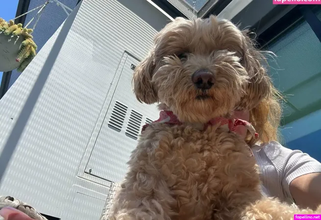 Evaparadis OnlyFans Thumbnail #AnsQceMUg0