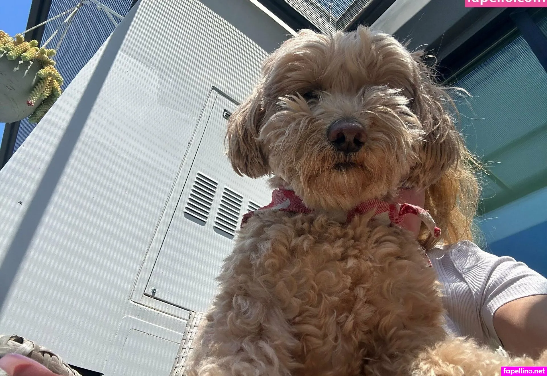 evaparadis Nude Leaked OnlyFans Photo #AnsQceMUg0