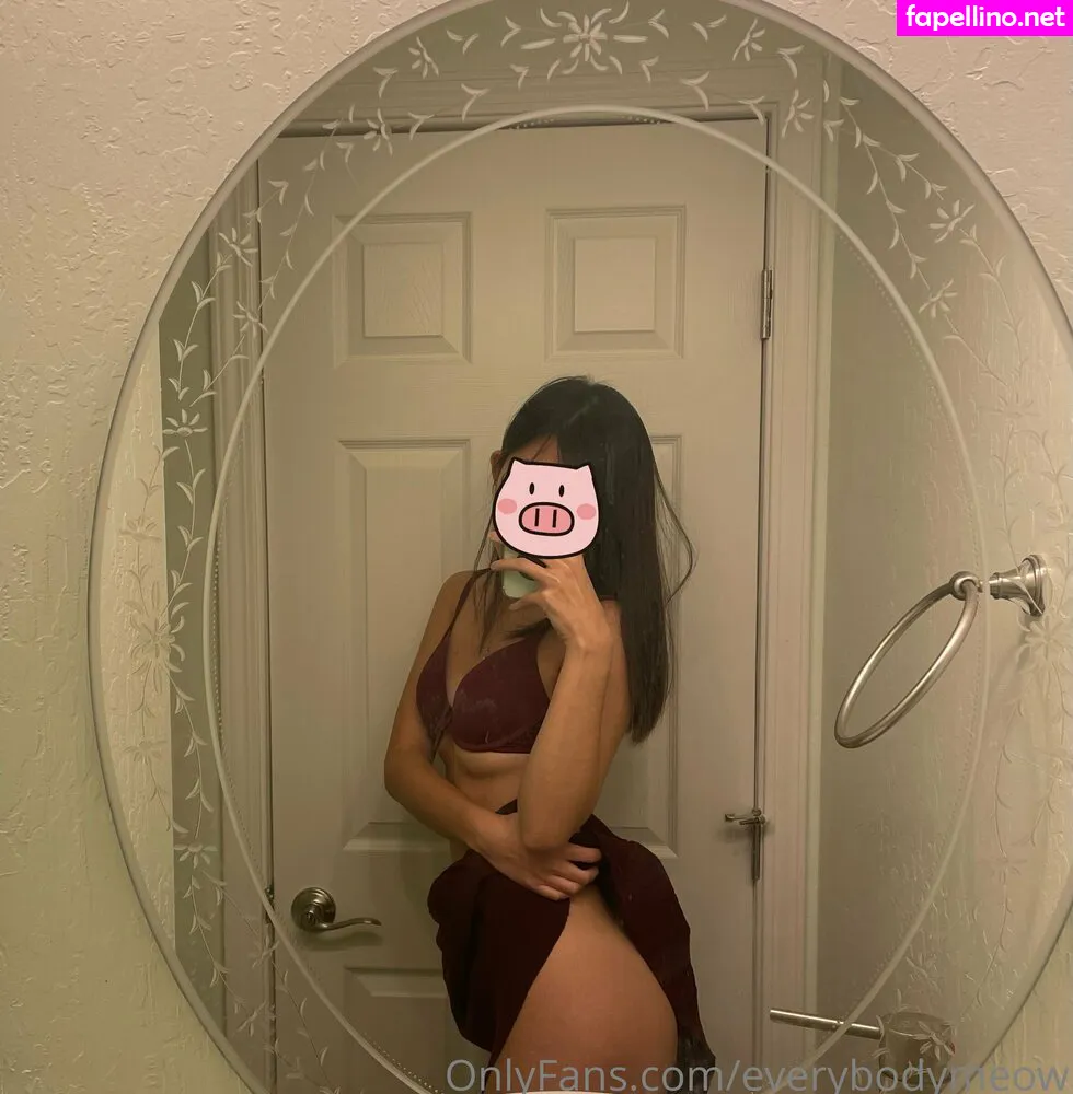 everybodymeow, lordbowserthecat Nude Leaked OnlyFans Photo #KvvBrsCJpv