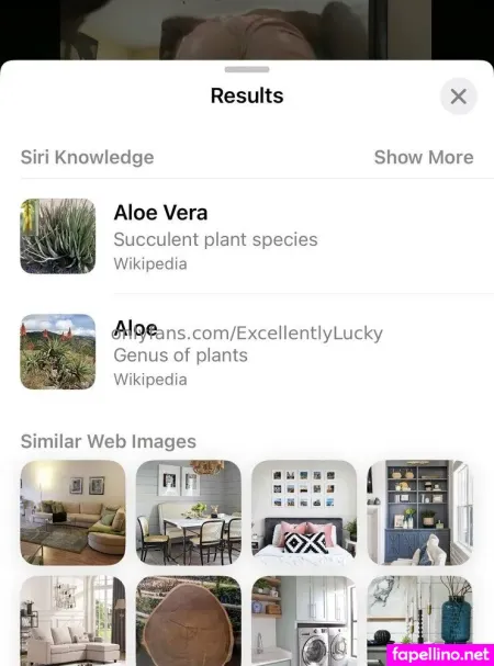 Excellentlylucky OnlyFans Thumbnail #dqCbkB5lHh