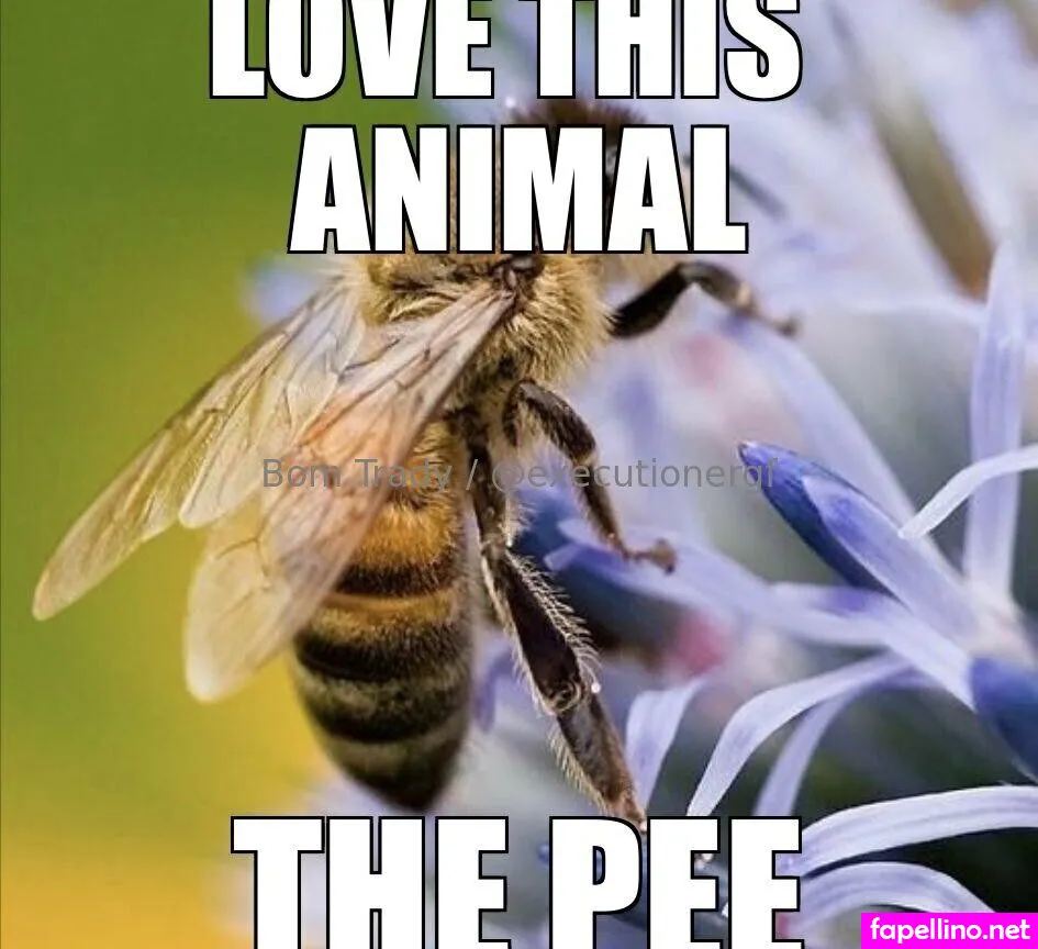 executioner.gf, executionergf Nude Leaked OnlyFans Photo #OL8dxHXnej