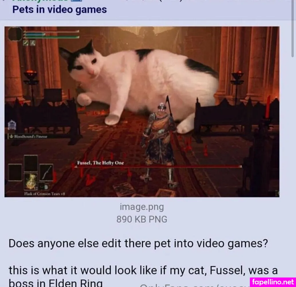 executioner.gf, executionergf Nude Leaked OnlyFans Photo #T5F9tNo3AC