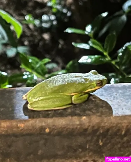 Executionergf OnlyFans Thumbnail #ZhMSWlwlVN